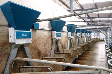 Orby Pneumatic Dairy Parlour Feeding System_dispensing mechanism_in use in milking parlour Ireland